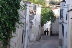 DSC02767