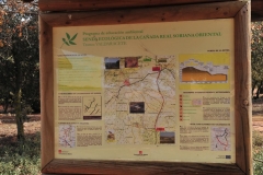 Exp.-Senda-Ecologica-Canada-Real-Soriana-17