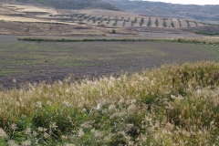Valdaracete