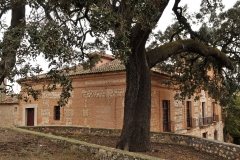 EXP.-Encina-de-Ambite13