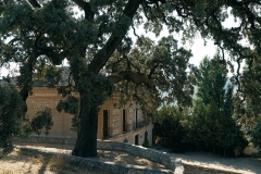 Encina-de-Ambite