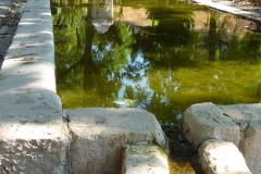 Exp.-Fuente-de-Arriba