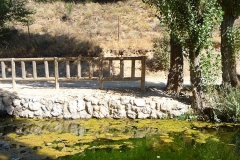 Exp.-Fuente-de-la-Tejera