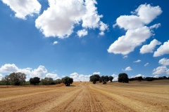 brea-de-tajo-11