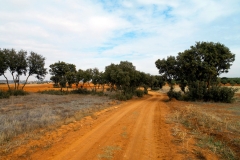 brea-de-tajo-4
