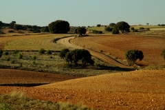 Carabana_1