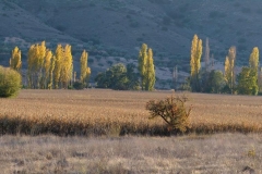 carabanavega-pano1