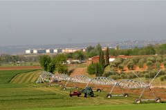 agricultura-campo-11