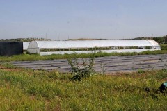 agricultura-campo-19