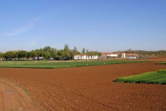 agricultura-campo-9