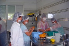 planta-piloto-conservas-2