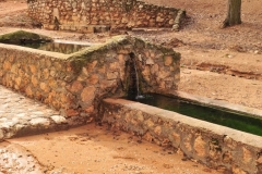 Exp.-Abrevaderos-de-Valdezarza-5