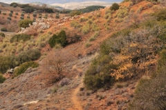 Exp.-Cerro-de-Valdezarza-1