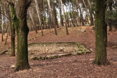 Exp.-Parque-Forestal-de-Valquejigoso
