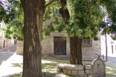 chincasacadenabig