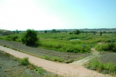 laguna-casasola
