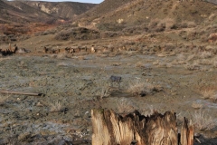 Exp.-Salinas-de-las-Espartinas