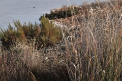 EXp.-Laguna-de-las-Esteras-5