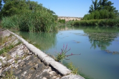 Exp.-Azud-de-la-Aldehuela-7