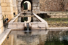 Fuente-Barranco-o-Zacatin-19