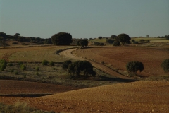 DSC03751