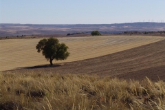 DSC02390