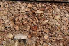 Exp.-Fuente-de-la-Duena-4