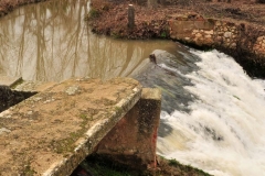 Exp.-Molino-de-la-Huerta-de-Angulo-5