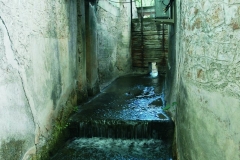 MOLINO-Huerta-de-Angulo-2
