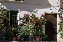 DSC03007