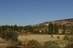 DSC03142