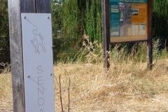 Exp.-Senda-Ecologica-de-la-Via-Verde-del-Tajuna-1