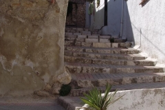 DSC02607