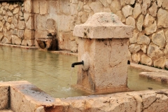 Exp.-Fuente-Mariblanca-61
