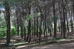 anchuelo-24-pinar-ermita-de-la-soledad1