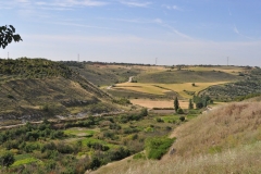 corpa-panoramica-de-la-via