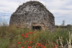 majada-en-las-rutas-de-olmeda-de-las-fuentes