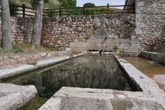 pezuela-de-las-torres-1