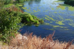 Exp.-Parque-Tierno-Galvan-rio-Jarama-2