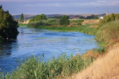 Exp.-Parque-Tierno-Galvan-rio-Jarama-3