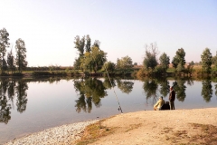 Exp.-SMVega_parque-TG-5