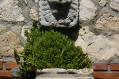 Fuente-de-San-Martin-de-la-Vega