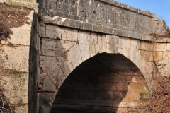 Exp.-Puente-de-Piedra-en-el-Tajuna-13