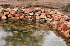 Exp.-Fuente-de-Valviejo