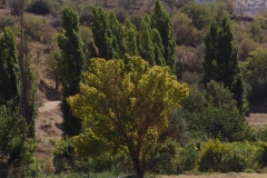 Paisaje-de-Valdilecha