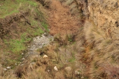 Exp.-Paraje-de-Villacabras-4