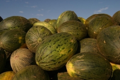 Melones-Villaconejos-2