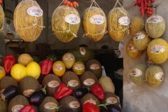villconejmelons