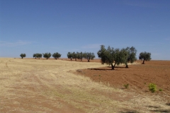DSC02508
