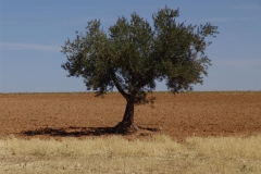 DSC02509